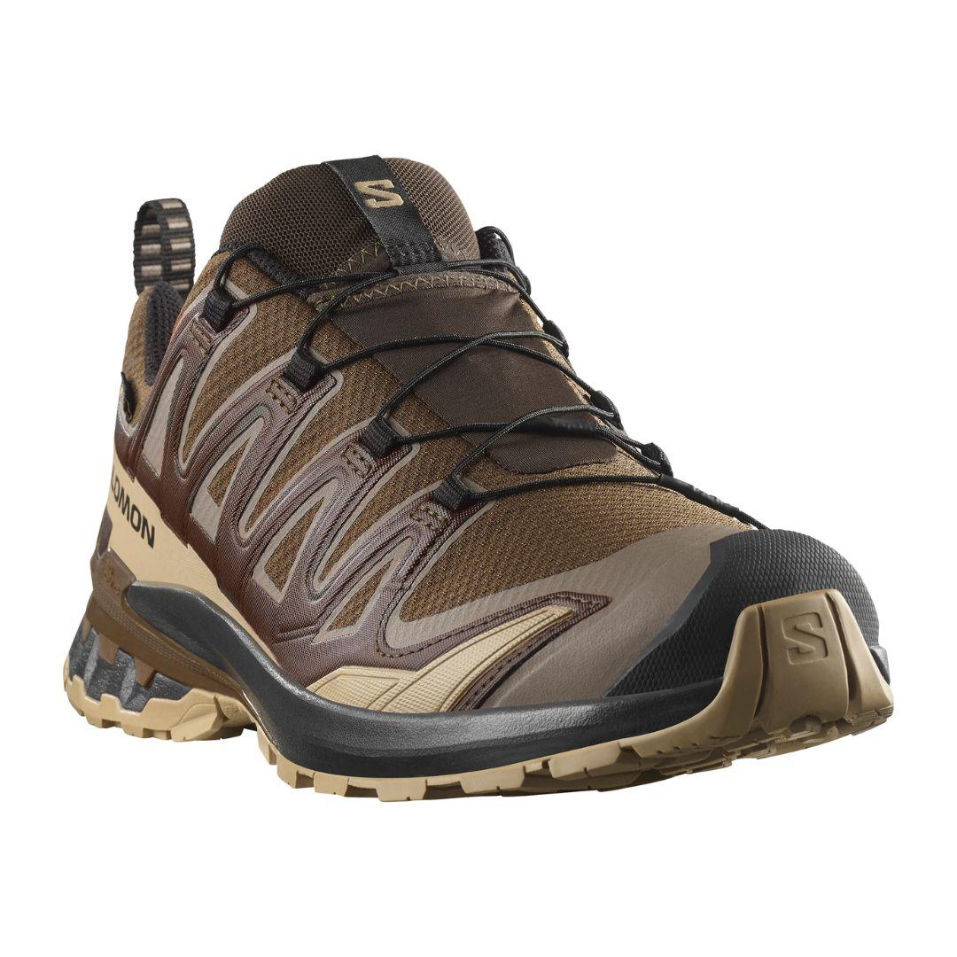 Salomon Men's XA Pro 3D V9 Gore-Tex Trail Running Shoes